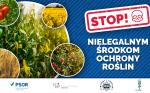 Grafika do komunikatu, napis stop nielegalnym środkom ochrony roślin